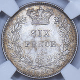 1881 Sixpence (NGC MS 64) - Victoria British Silver Coin - Superb