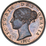 1856 Halfpenny - Victoria British Copper Coin - Superb