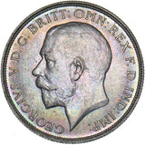 1920 Florin (Shallow Portrait) - George V British Silver Coin - Superb