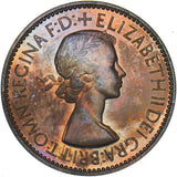1953 Proof Halfpenny - Elizabeth II British Bronze Coin - Superb
