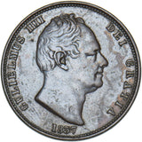 1837 Halfpenny - William IV British Copper Coin - Nice