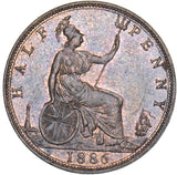 1886 Halfpenny - Victoria British Bronze Coin - Superb