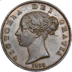 1855 Halfpenny - Victoria British Copper Coin - Very Nice