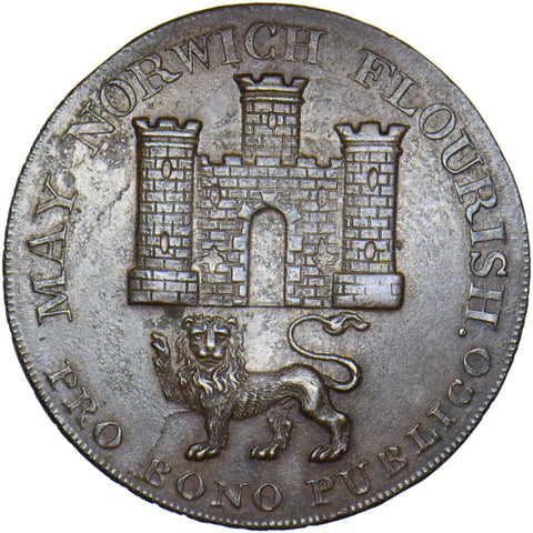 1792 Norwich Castle/Lion 18th Century Halfpenny Token - Norfolk D&H 14
