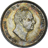 1836 Groat (Fourpence) - William IV British Silver Coin - Superb